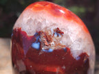 Polished Carnelian Agate Gemstone Standing Free Forms x 3 From Madagascar