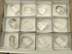 Polished Clear and Optic Quartz Crystals x 12 From Madagascar