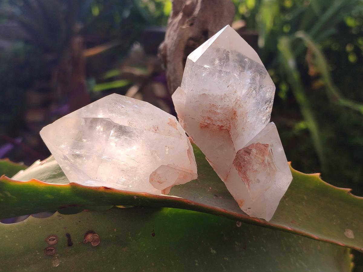Natural Mpika Quartz Crystals x 12 From Mpika, Zambia