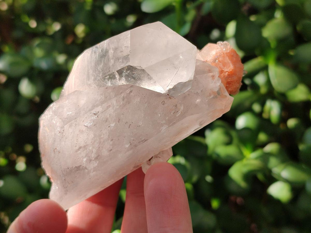 Natural Mpika Quartz Crystals x 12 From Mpika, Zambia