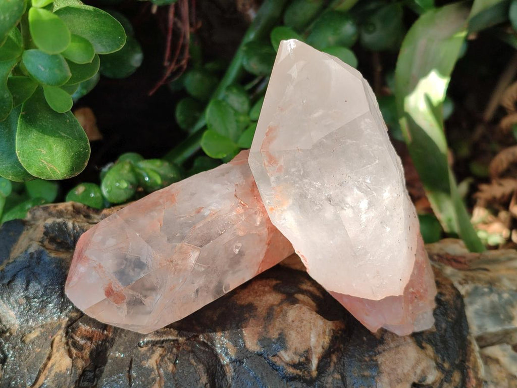 Natural Mpika Quartz Crystals x 12 From Mpika, Zambia