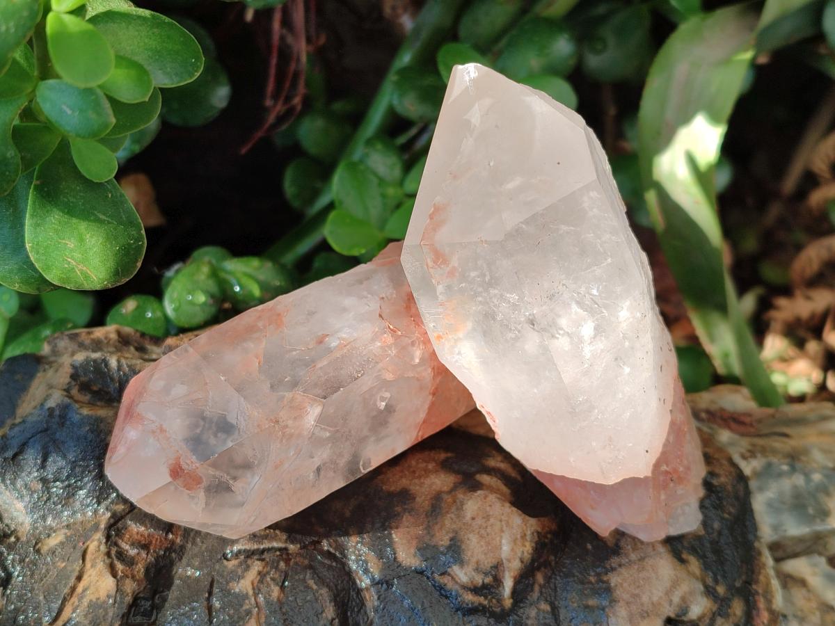 Natural Mpika Quartz Crystals x 12 From Mpika, Zambia