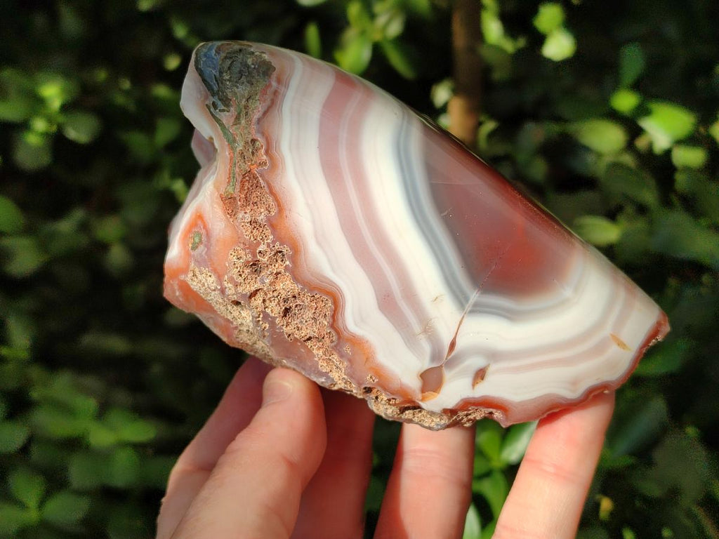 Polished Side Red Shashe River Agate Nodules x 4 From Shashe River, Zimbabwe
