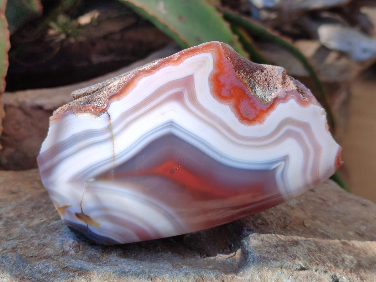 Polished Side Red Shashe River Agate Nodules x 4 From Shashe River, Zimbabwe