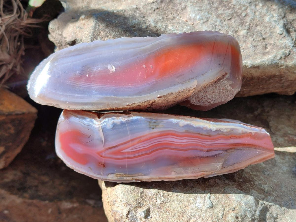Polished Side Red Shashe River Agate Nodules x 4 From Shashe River, Zimbabwe