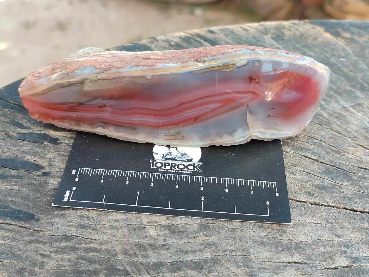 Polished Side Red Shashe River Agate Nodules x 4 From Shashe River, Zimbabwe