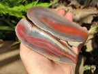 Polished Side Red Shashe River Agate Nodules x 4 From Shashe River, Zimbabwe