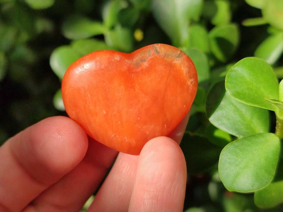 Polished Orange Calcite Mini Hearts x 48 From Madagascar