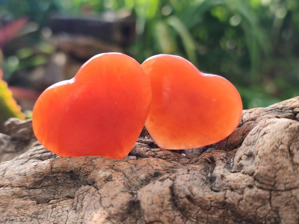 Polished Orange Calcite Mini Hearts x 48 From Madagascar