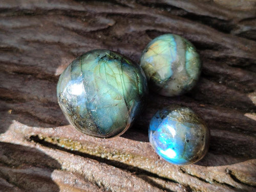 Polished Rounded Labradorite Free Forms x 35 From Madagascar