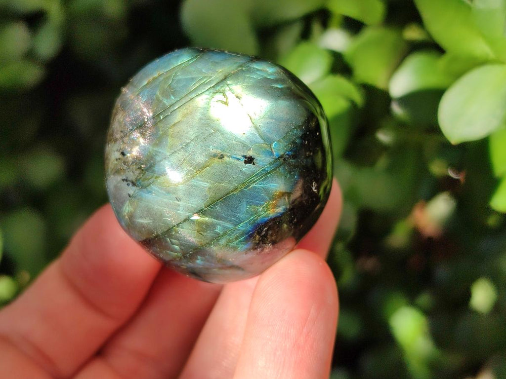 Polished Rounded Labradorite Free Forms x 35 From Madagascar