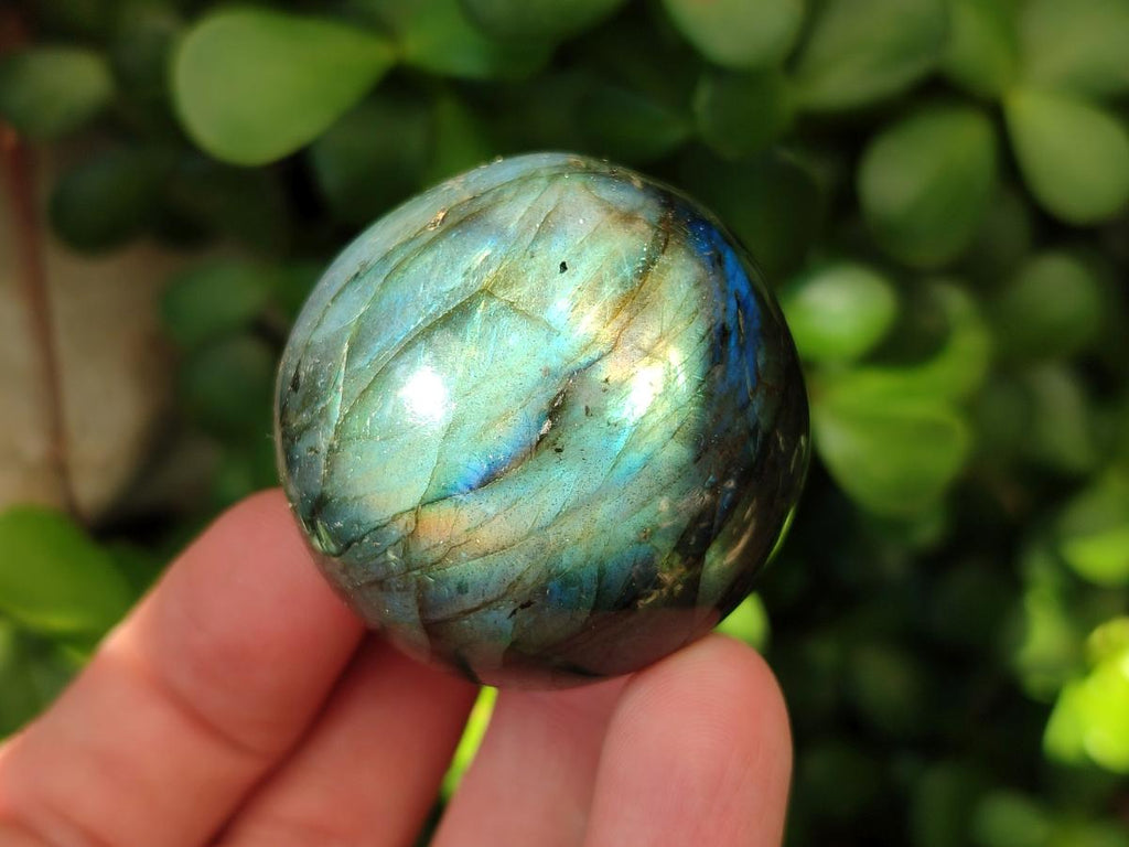 Polished Rounded Labradorite Free Forms x 35 From Madagascar