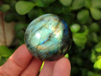 Polished Rounded Labradorite Free Forms x 35 From Madagascar