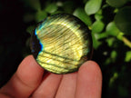 Polished Rounded Labradorite Free Forms x 35 From Madagascar