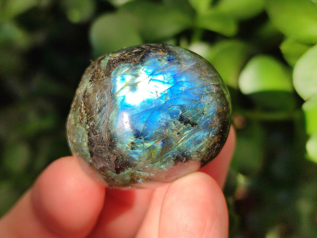 Polished Rounded Labradorite Free Forms x 35 From Madagascar