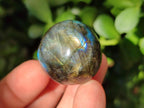Polished Rounded Labradorite Free Forms x 35 From Madagascar