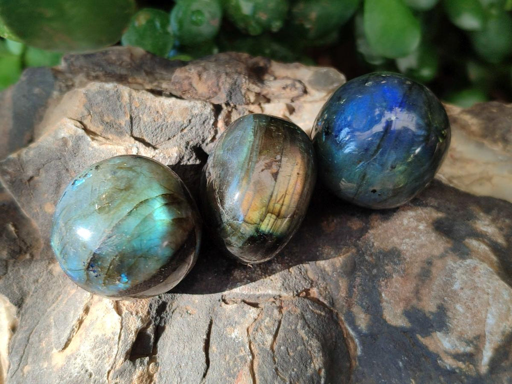 Polished Rounded Labradorite Free Forms x 35 From Madagascar