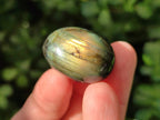Polished Rounded Labradorite Free Forms x 35 From Madagascar