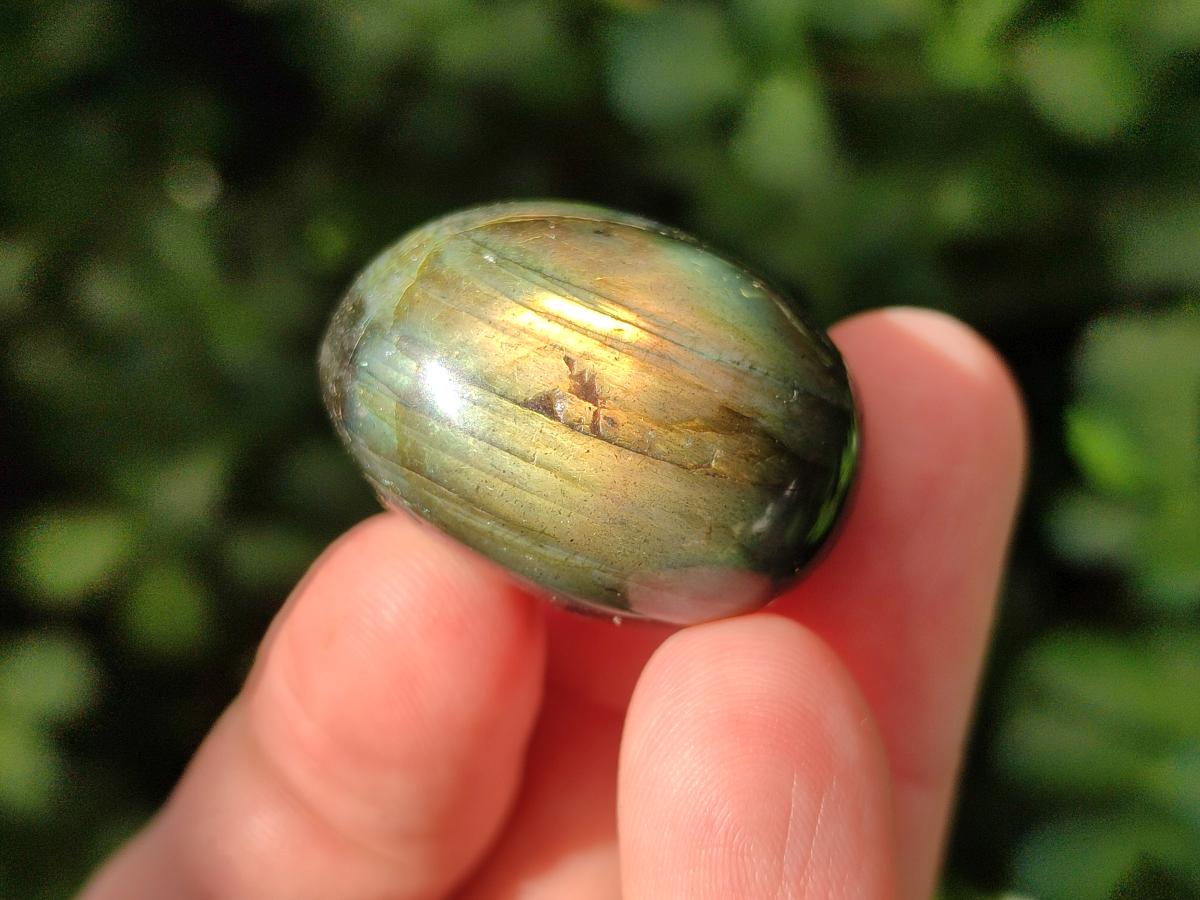 Polished Rounded Labradorite Free Forms x 35 From Madagascar