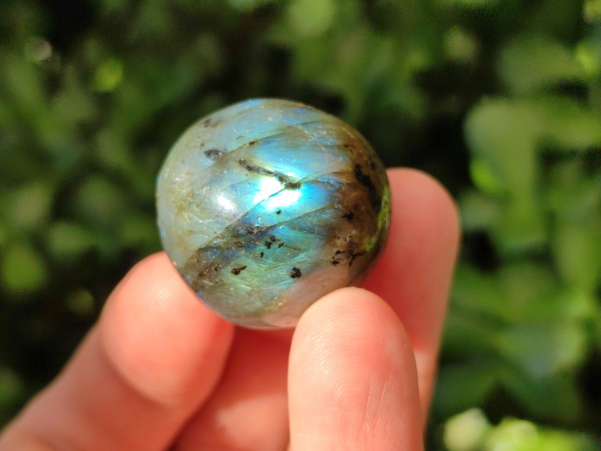 Polished Rounded Labradorite Free Forms x 35 From Madagascar