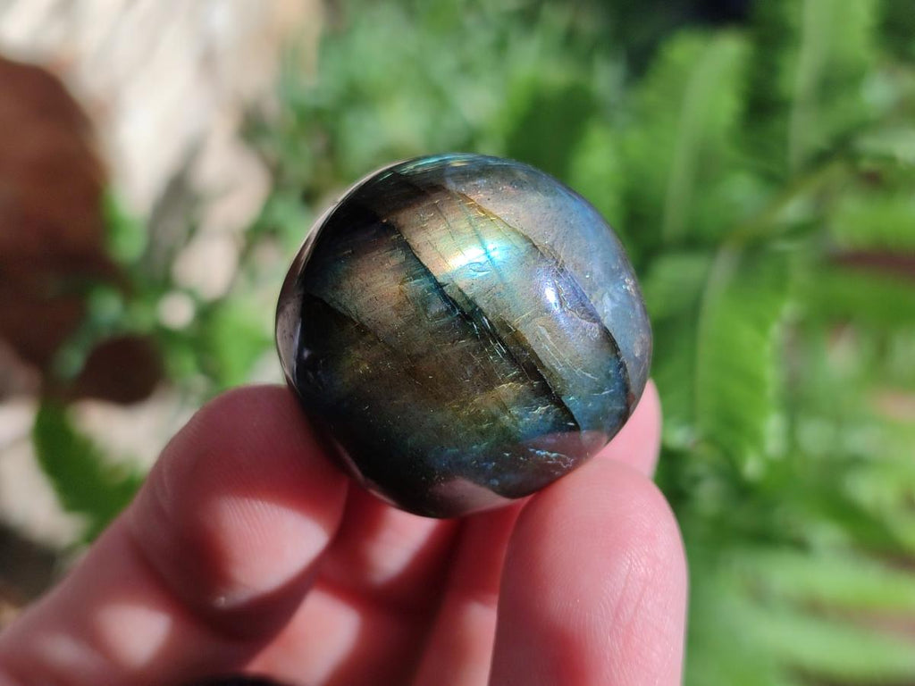 Polished Rounded Labradorite Free Forms x 35 From Madagascar