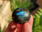 Polished Rounded Labradorite Free Forms x 35 From Madagascar