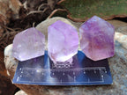 Polished Window Amethyst Crystals x 12 From Akansobe, Madagascar