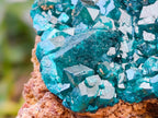 Natural Dioptase on Dolomite Specimens x 3 From Likasi, Congo