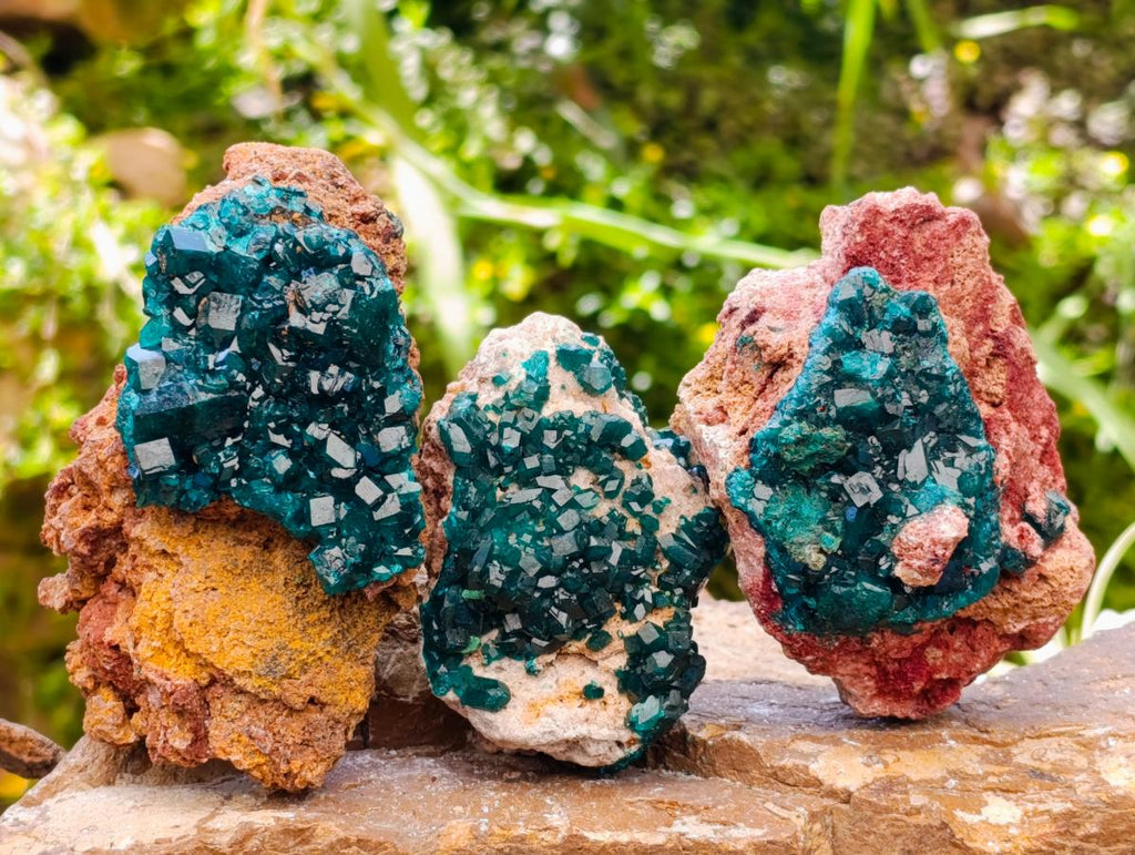 Natural Dioptase on Dolomite Specimens x 3 From Likasi, Congo