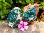 Natural Dioptase on Dolomite Specimens x 3 From Likasi, Congo