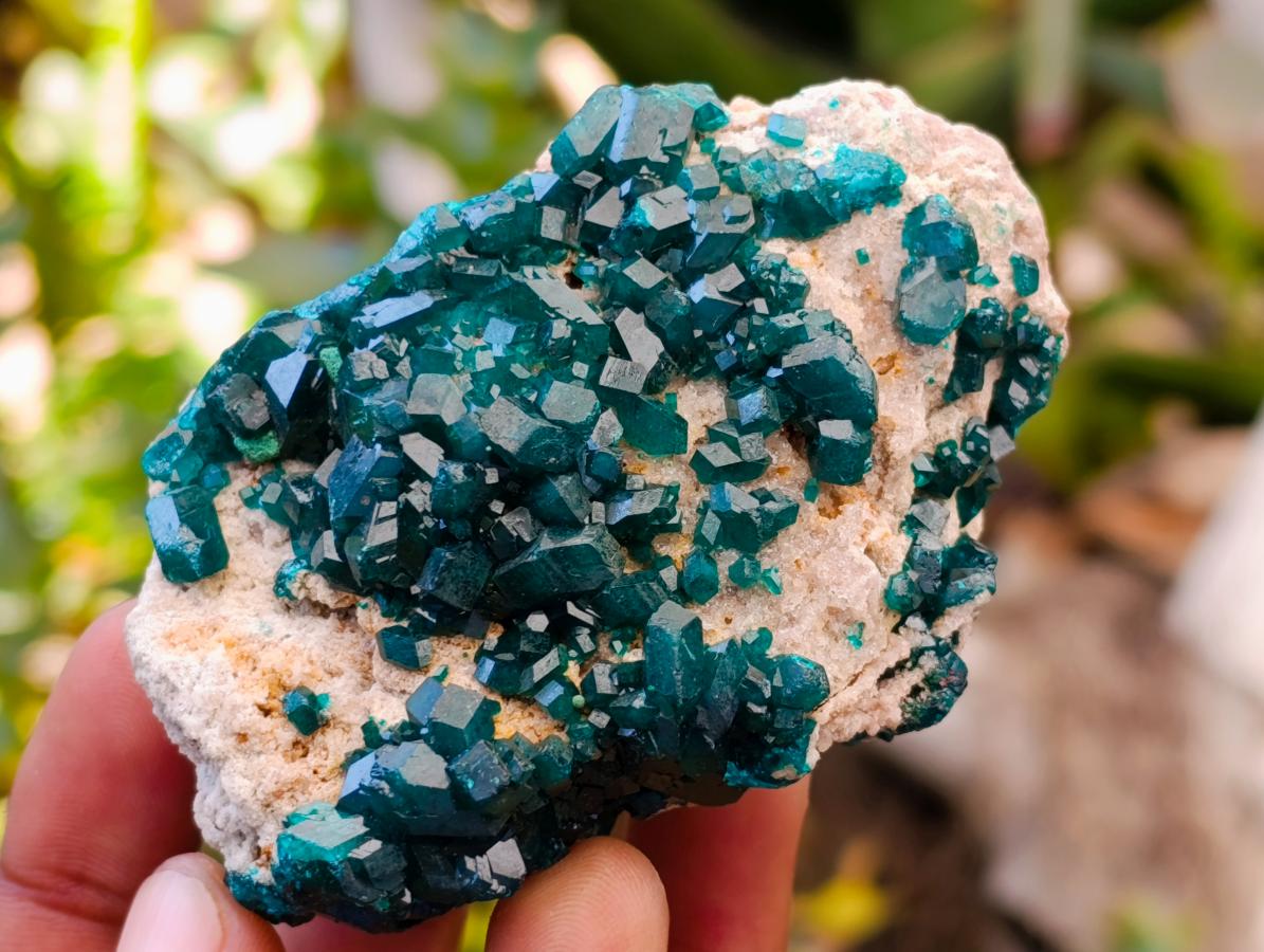 Natural Dioptase on Dolomite Specimens x 3 From Likasi, Congo
