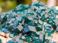 Natural Dioptase on Dolomite Specimens x 3 From Likasi, Congo