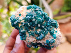 Natural Dioptase on Dolomite Specimens x 3 From Likasi, Congo