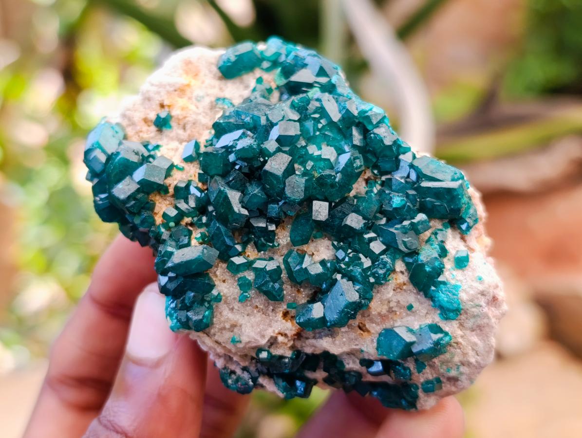 Natural Dioptase on Dolomite Specimens x 3 From Likasi, Congo