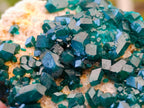 Natural Dioptase on Dolomite Specimens x 3 From Likasi, Congo