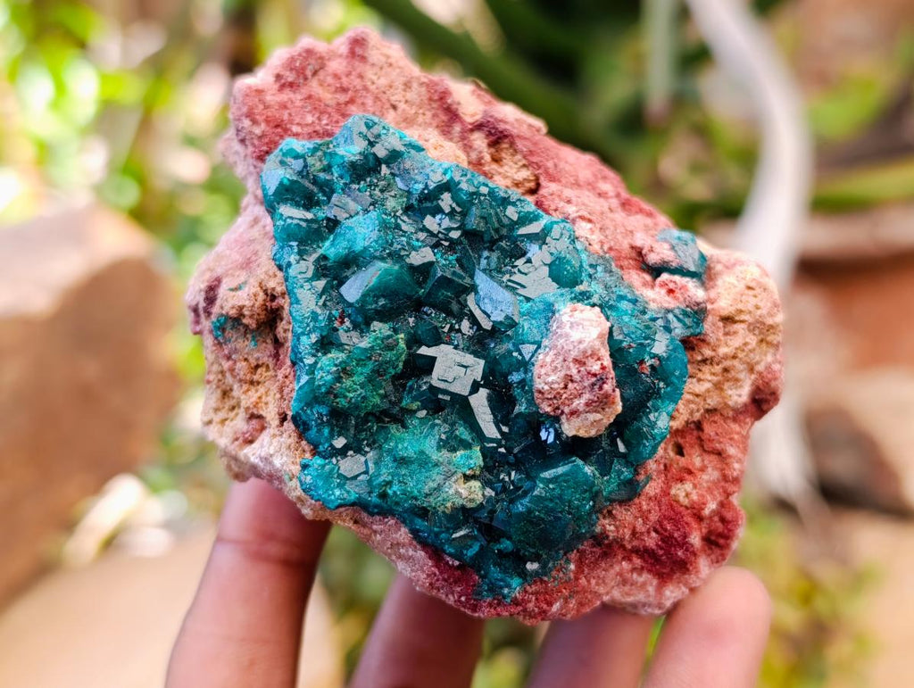Natural Dioptase on Dolomite Specimens x 3 From Likasi, Congo