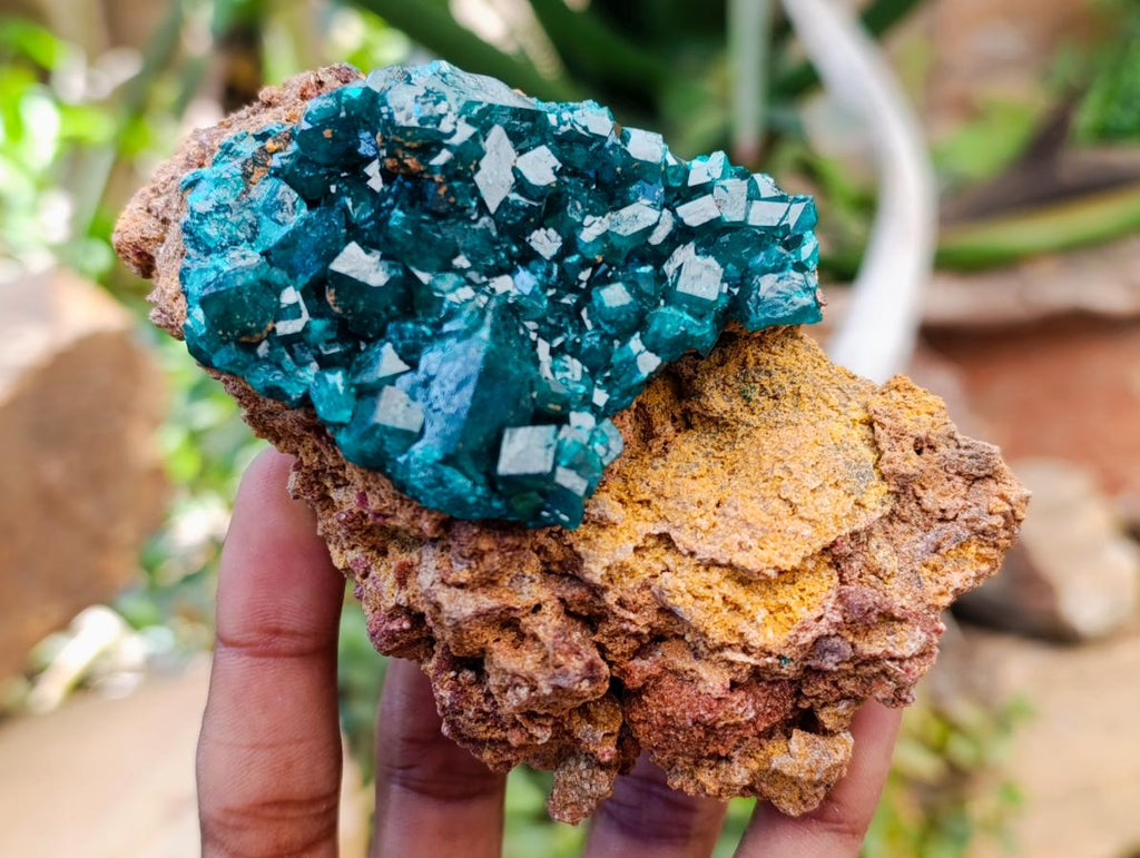 Natural Dioptase on Dolomite Specimens x 3 From Likasi, Congo