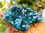 Natural Dioptase on Dolomite Specimens x 3 From Likasi, Congo