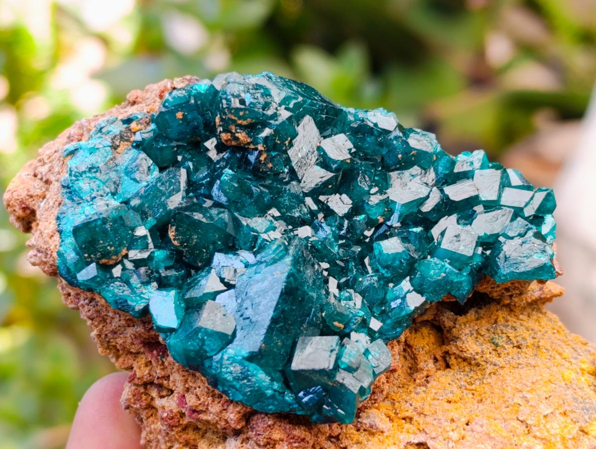 Natural Dioptase on Dolomite Specimens x 3 From Likasi, Congo