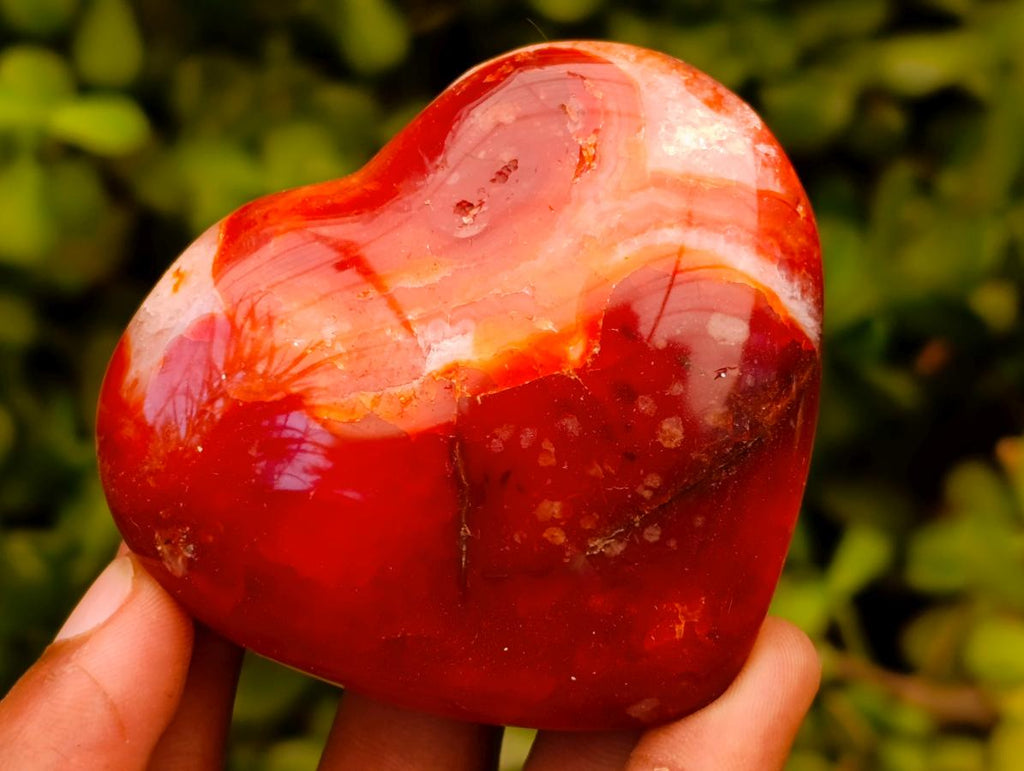 Polished Carnelian Agate Gemstone Hearts x 6 From Madagascar