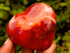 Polished Carnelian Agate Gemstone Hearts x 6 From Madagascar