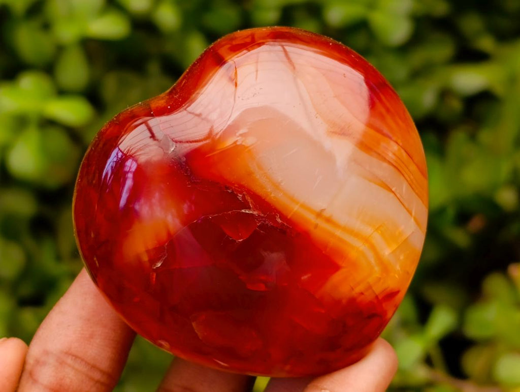 Polished Carnelian Agate Gemstone Hearts x 6 From Madagascar