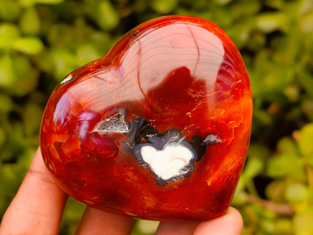 Polished Carnelian Agate Gemstone Hearts x 6 From Madagascar