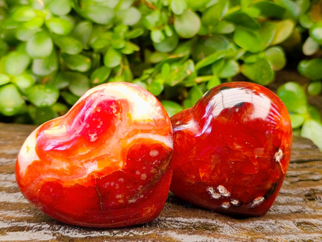 Polished Carnelian Agate Gemstone Hearts x 6 From Madagascar