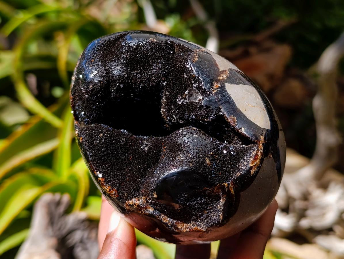 Polished Septerye Sauvage "Dragons Egg" Geode x 2 From Mahajanga, Madagascar