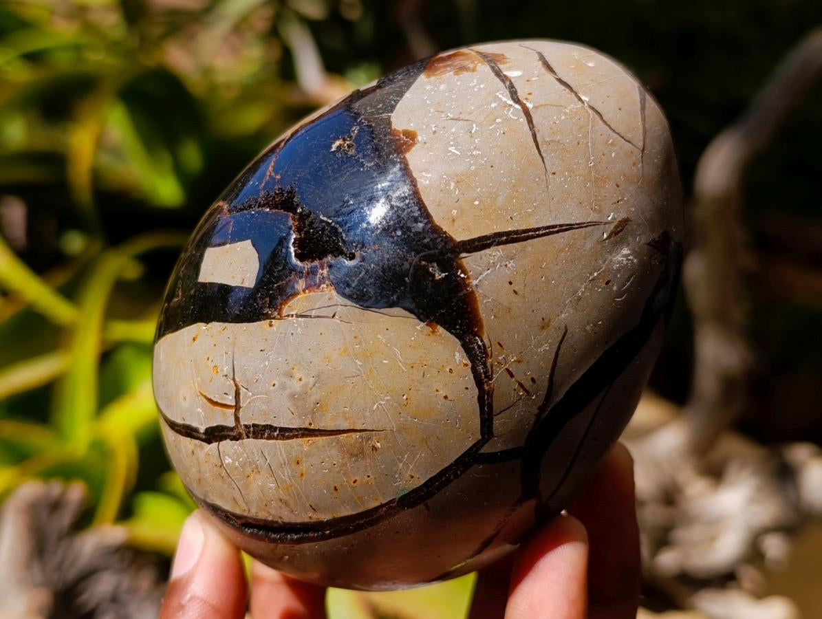 Polished Septerye Sauvage "Dragons Egg" Geode x 2 From Mahajanga, Madagascar