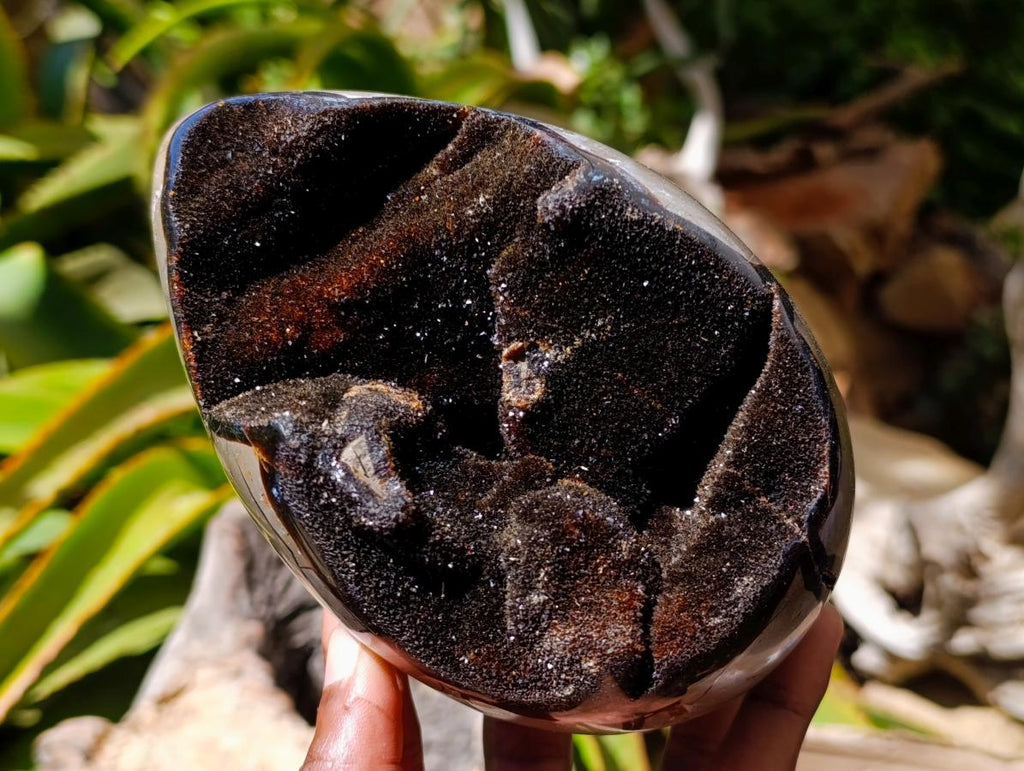 Polished Septerye Sauvage "Dragons Egg" Geode x 2 From Mahajanga, Madagascar