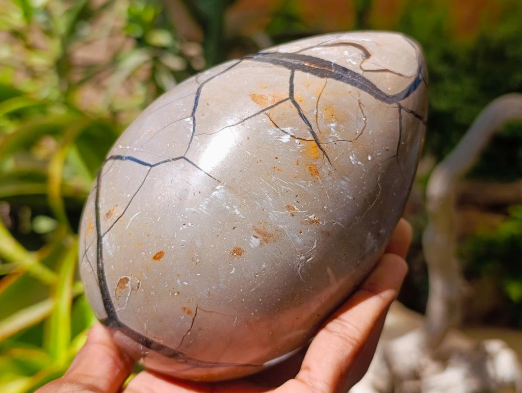 Polished Septerye Sauvage "Dragons Egg" Geode x 2 From Mahajanga, Madagascar