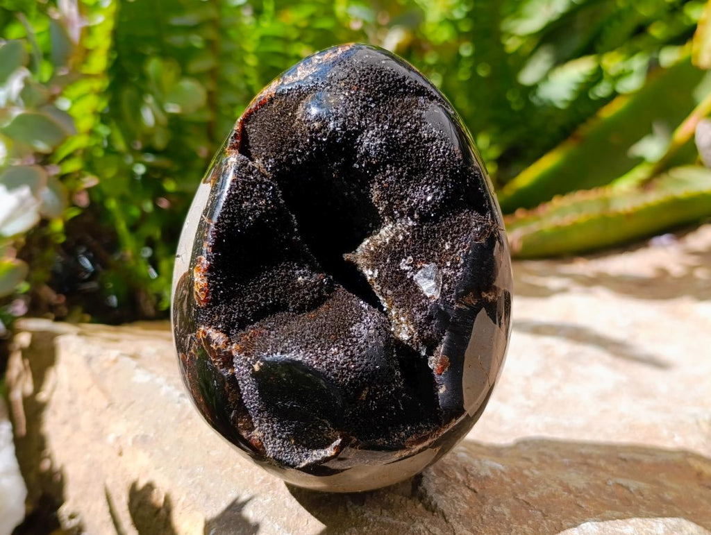 Polished Septerye Sauvage "Dragons Egg" Geode x 2 From Mahajanga, Madagascar