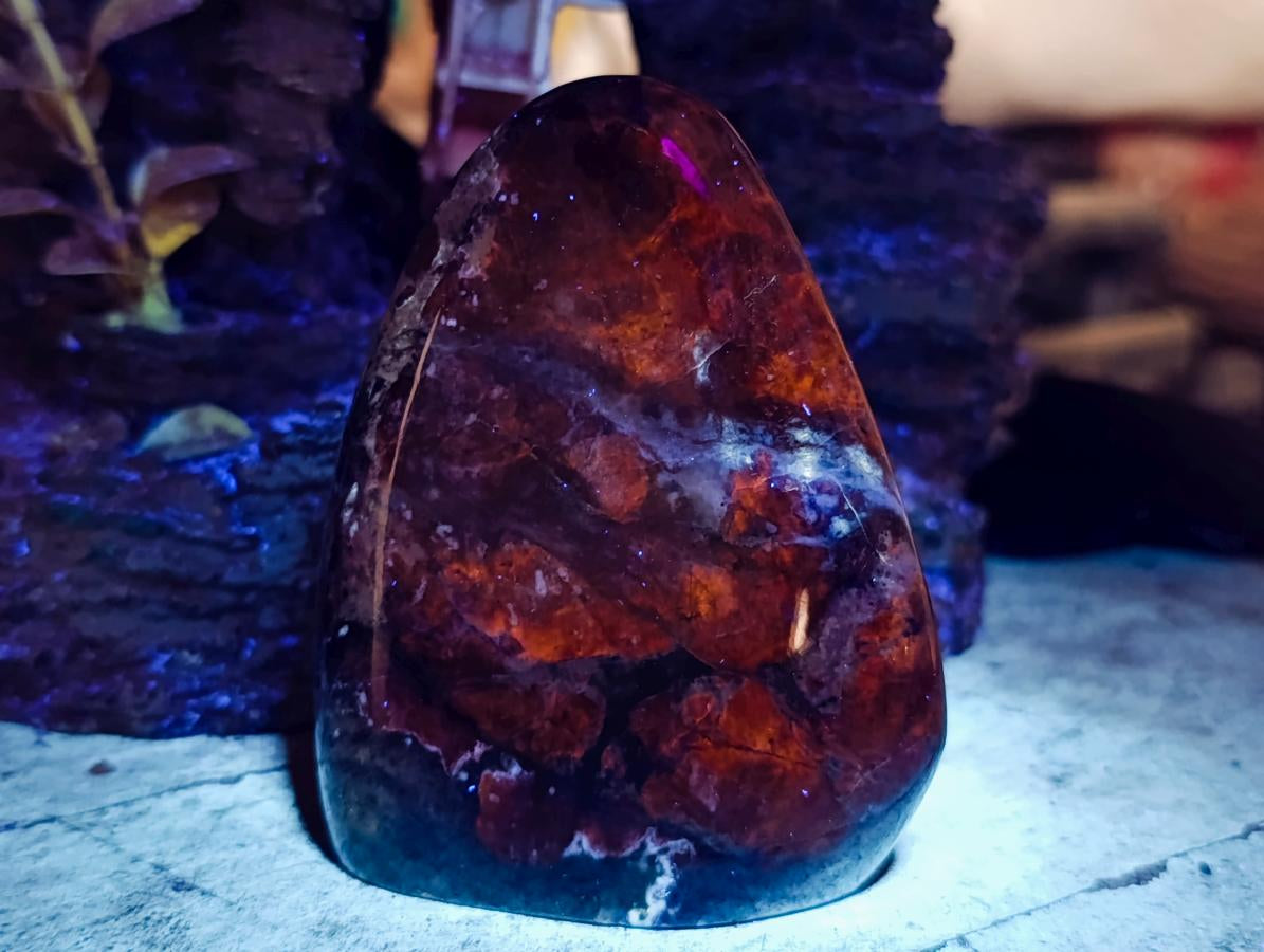 Polished Sodalite Standing Free Forms x 3 From Kunene River, Namibia